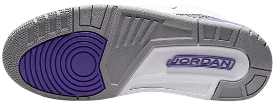 Back View of Jordan 3 Retro Dark Iris